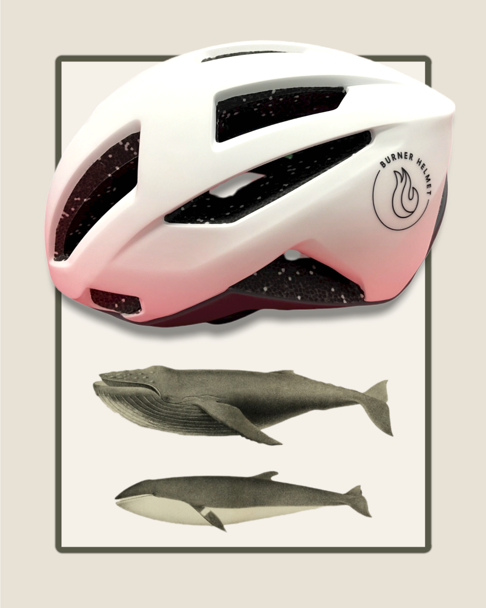 Nachhaltiger Helm Wal